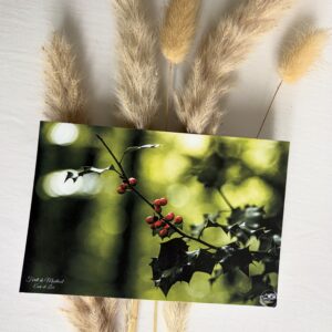 Branche de Houx et baies