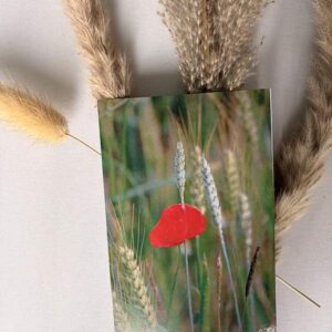 Coquelicot